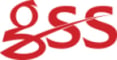 gss